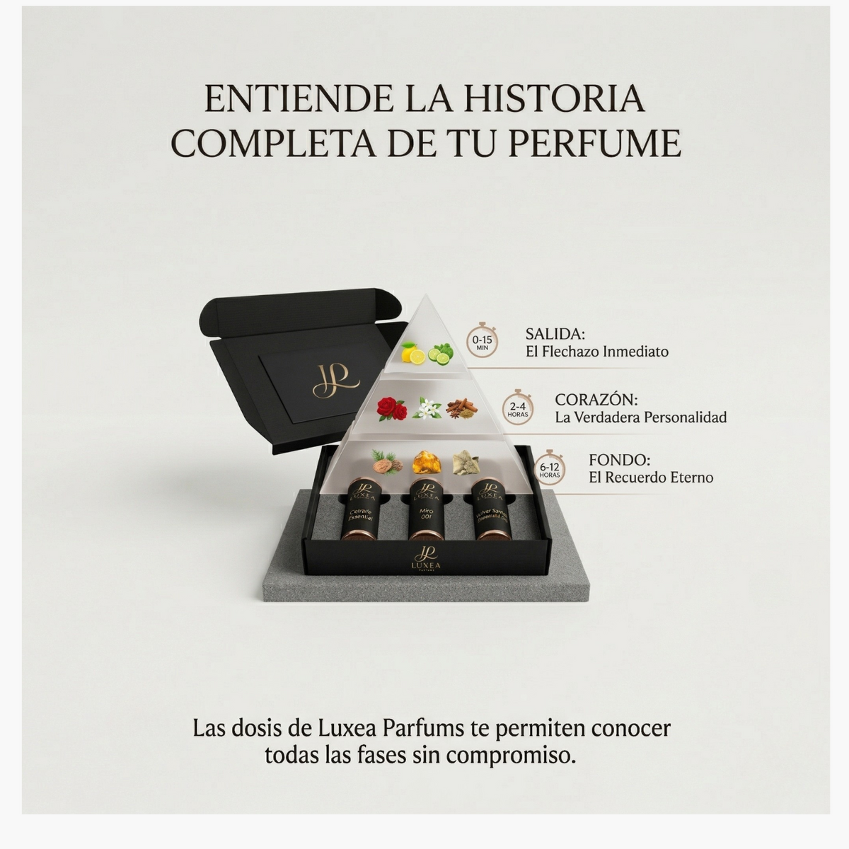 La Pirámide Olfativa: ¿Por qué ese perfume que amaste en la tienda ahora huele distinto?